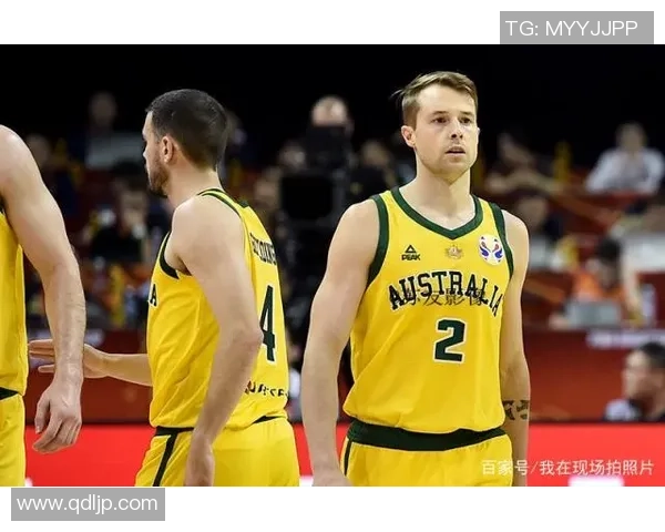 南京篮球队在世界杯预选赛中的个人能力分析与表现总结